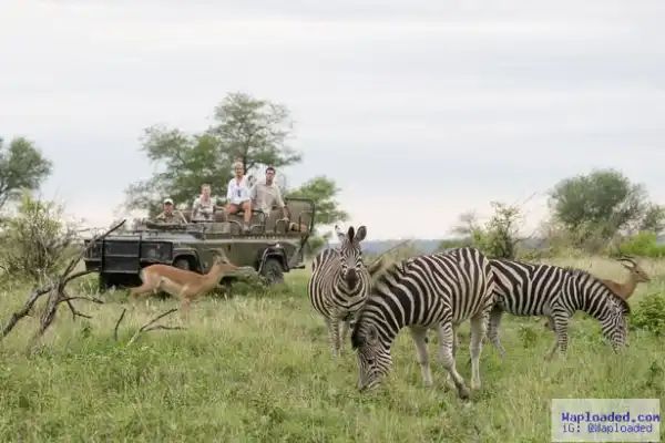 Father watches as Leopard attacks and drags his 6 year old son away